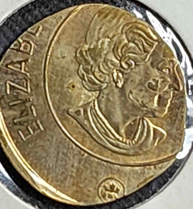 PMD-Or-Actual-Error-Twoonie?